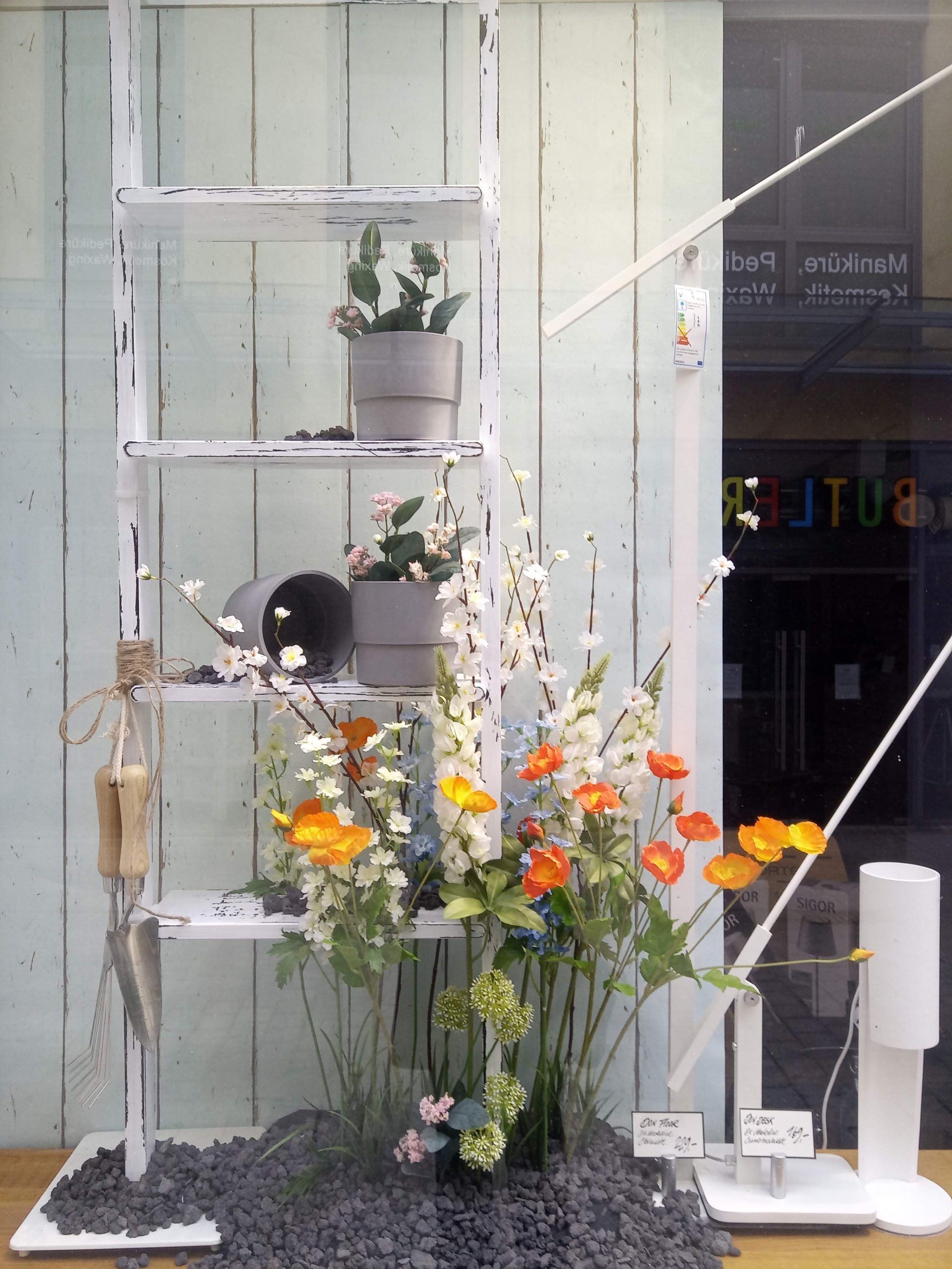 Schaufenster Leiter und Blume